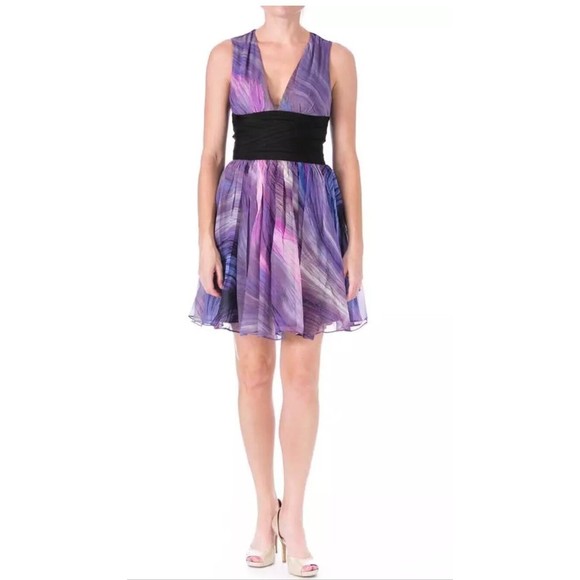 Elizabeth and James Dresses & Skirts - Elizabeth & James Women's Dress Sunset Jana Silk Multi Purple Size 4 NWT $395